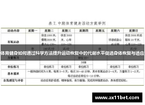 体育健身如何通过科学方法提升运动恢复中的代谢水平促进身体恢复与适应