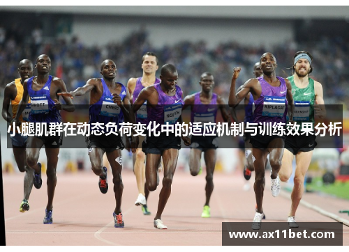 小腿肌群在动态负荷变化中的适应机制与训练效果分析
